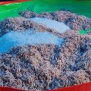 광남1동-16 이미지