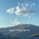 빵드마망 이미지