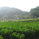 마루농장2 이미지