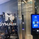 피트니스 멘토 | 석촌동 헬스장 석촌호수 근처 짐모드 피트니스