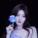 넝쿨째굴러온 | [중드추천] 쇼윈도에서 찐사랑으로 ' 허아요안 ' 후기 (조로사X진위정,약스포,기본정보,티빙)
