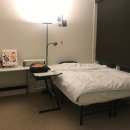 강아지 천국 이미지