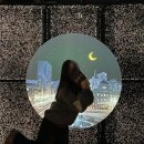 대한민국역사박물관 | 광화문 데이트 추천 무료전시 밤풍경 대한민국역사박물관 후기