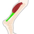 예스본한의원 이미지