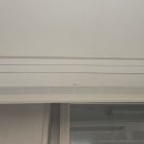 우두이지더원시그니처 이미지