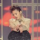 신명1983 이미지