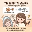 미네랄라이프