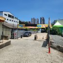 석정복어 이미지