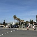 댕's day | 3월 시드니 4박5일 여행 후기(Day 3) - 본다이비치, 왓슨스베이, 룩스마켓, 오페라하우스, 시드니천문대...