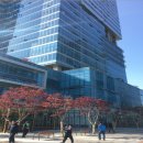 흥덕1로 이미지