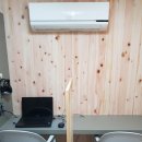 푸른나무진로적성연구소 이미지