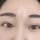 봉자속눈썹 이미지