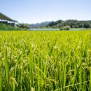 도담한우농장 이미지