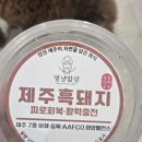 제주멍냥밥상 네이버블로그