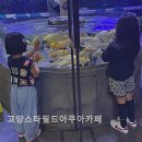 미디어피쉬 | 고양 아이랑 갈만한곳) 스타필드 고양 수족관 아쿠아카페 미디어아트_닥터피쉬체험_내돈내산