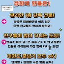 한국파워점핑줄넘기 & 경희대태권도 | [한율] 즐거운 여름방학 한율 태권도 특강과 함께! 동탄 목동 한율 태권도.