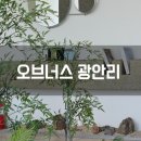 오브너스 | 부산 광안리 노트북 카페 오브너스 작업하기 괜찮은 분위기 후기
