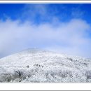 야영텐트 이미지