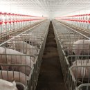 규정농장 이미지