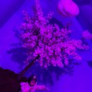 제주인관광호텔 | “제주홀릭뮤지엄이 5,000원?” 내돈내산 이용 후기, 비 오는 날 갈만한 실내관광지 추천