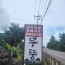 무뚱 | 제주에서 찾은 원조 등뼈국수의 집, 무뚱 방문 후기