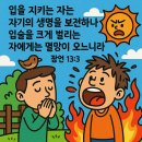 지혜상사 이미지