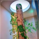 바른이바른얼굴 치과교정과치과의원 이미지