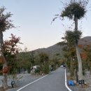 복골캠핑장 이미지