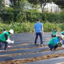 사랑의농장 이미지