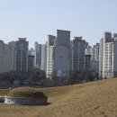 이경희 선생 묘 이미지