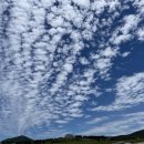 용담하우스 이미지