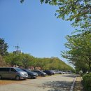 아라마루 카페 이미지