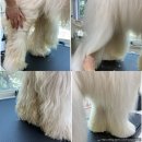 몽스빌리지 이미지