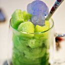 멍스타 | 담양가볼만한곳 추천 담양 애견동반 카페 멍스타