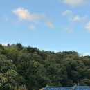 조은온천 | [가을 문경여행] : 2025 문경사과축제 , 수안보온천 후기