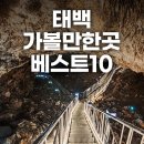 청룡목장 | 태백 가볼만한곳 베스트10 겨울 강원도 태백 용연동굴 1박2일 여행