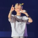 예뻐해줄개 | 몸뚱아린 하난데 티켓이 왜 일곱 개니 (백현 도쿄 콘서트 양일 후기)