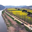 낙동강변 축구장 2 이미지