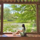 국내여행은 전라도로 이미지