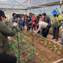 안녕 우리집 이미지