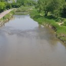 프롭테라피(야간) 이미지