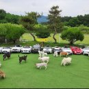 익산애견테마파크 이미지