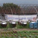 대원농장2 이미지