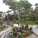 카페포렛 이미지