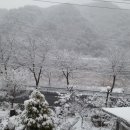 강가애하루 이미지