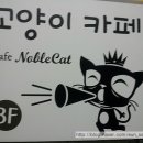 노블랙돌 | 13 09 07 &gt;37마리의 고양이들이 있는곳~♥ &gt; 대전 자양동 고양이 카페 - 노블캣 (스크롤주의!!)
