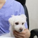 누리봄동물병원 이미지