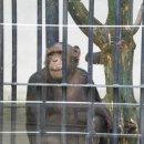 달성공원 이미지