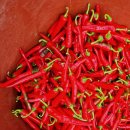 신일농장 이미지