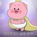 한우대가NO.9 이미지